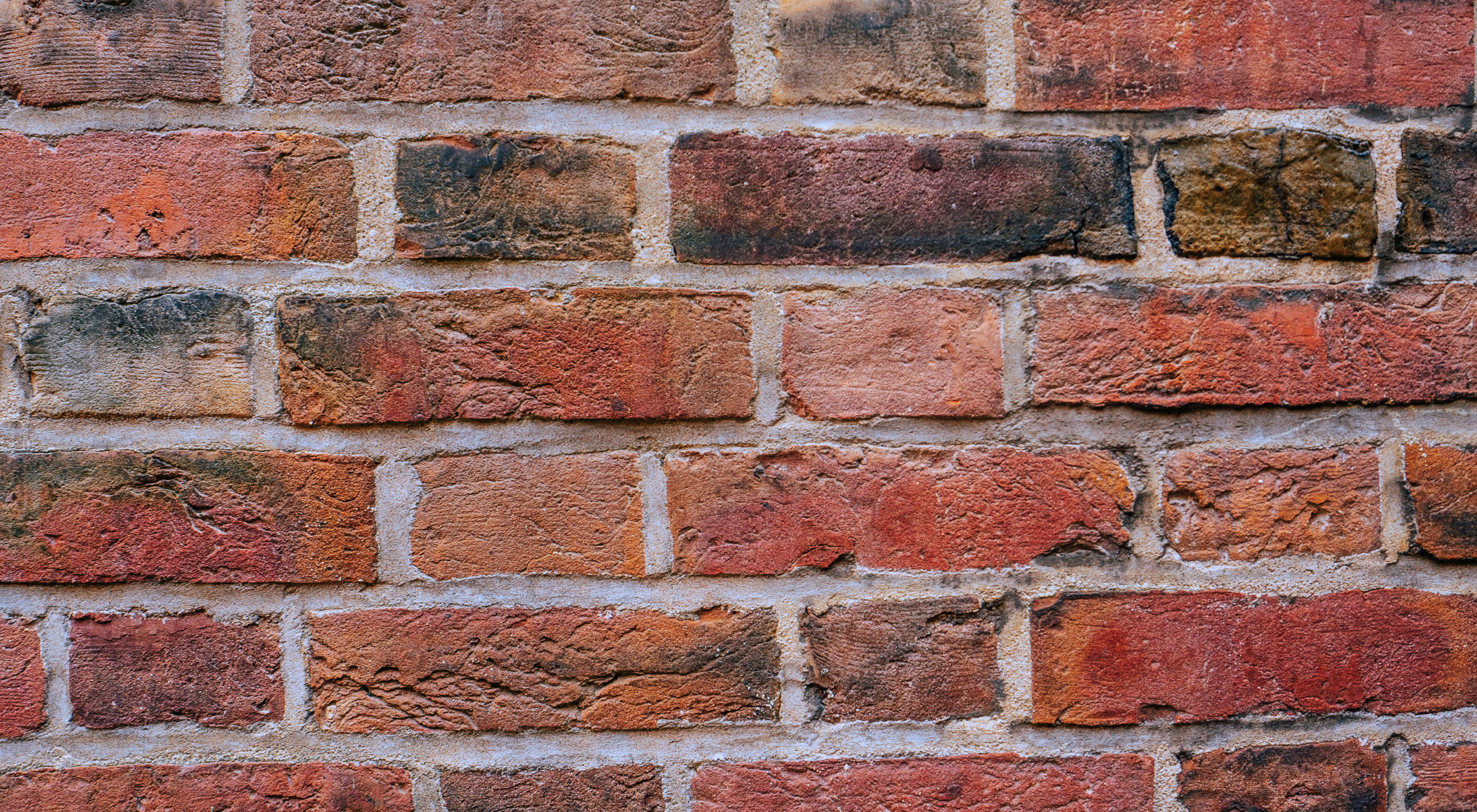 The Brick Wall of Professional Standards in Society